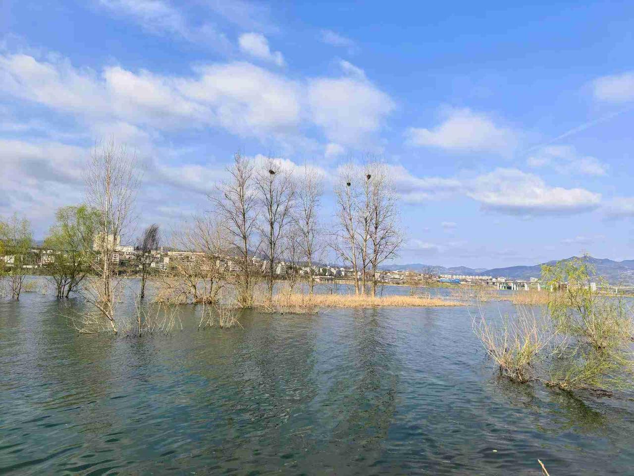 我的今日状态：😁轻松愉快
我这里的天气：☀️晴天