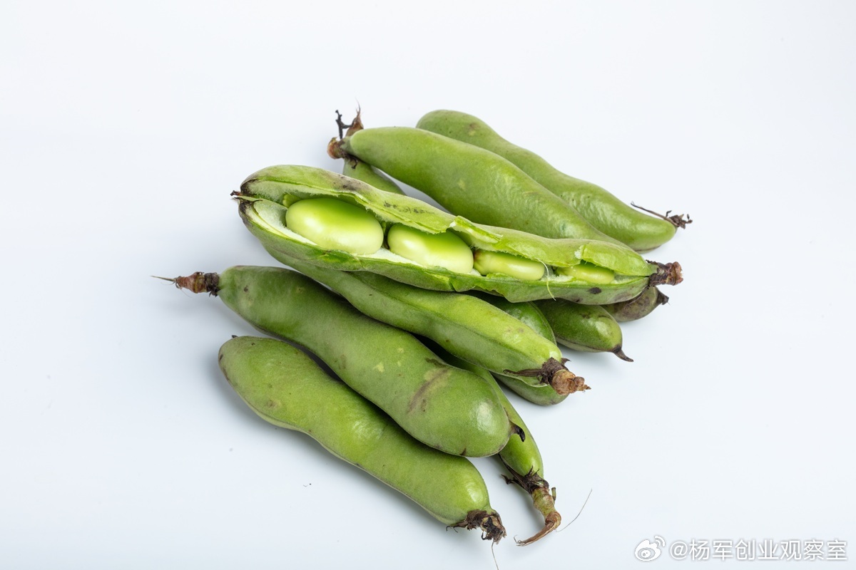 【价值投资：真正的长期主义是“气质相投”】价值投资常被简化为“长期持有”，但核心