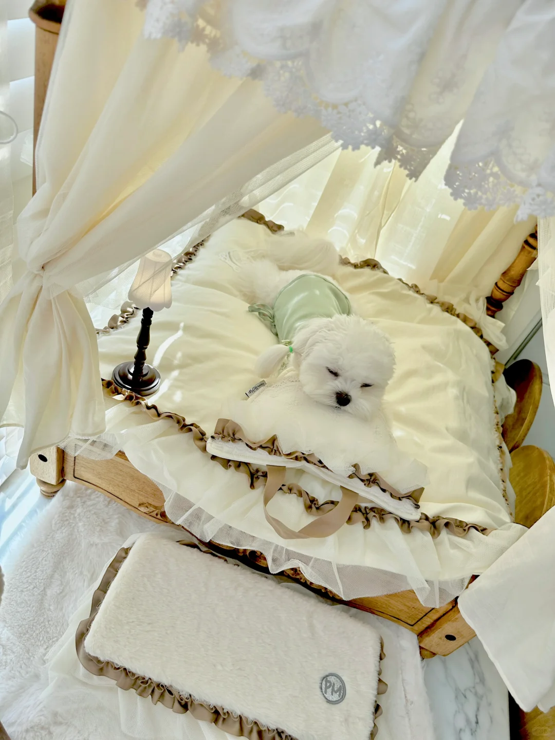 单身狗周六睡睡懒觉怎么了？！