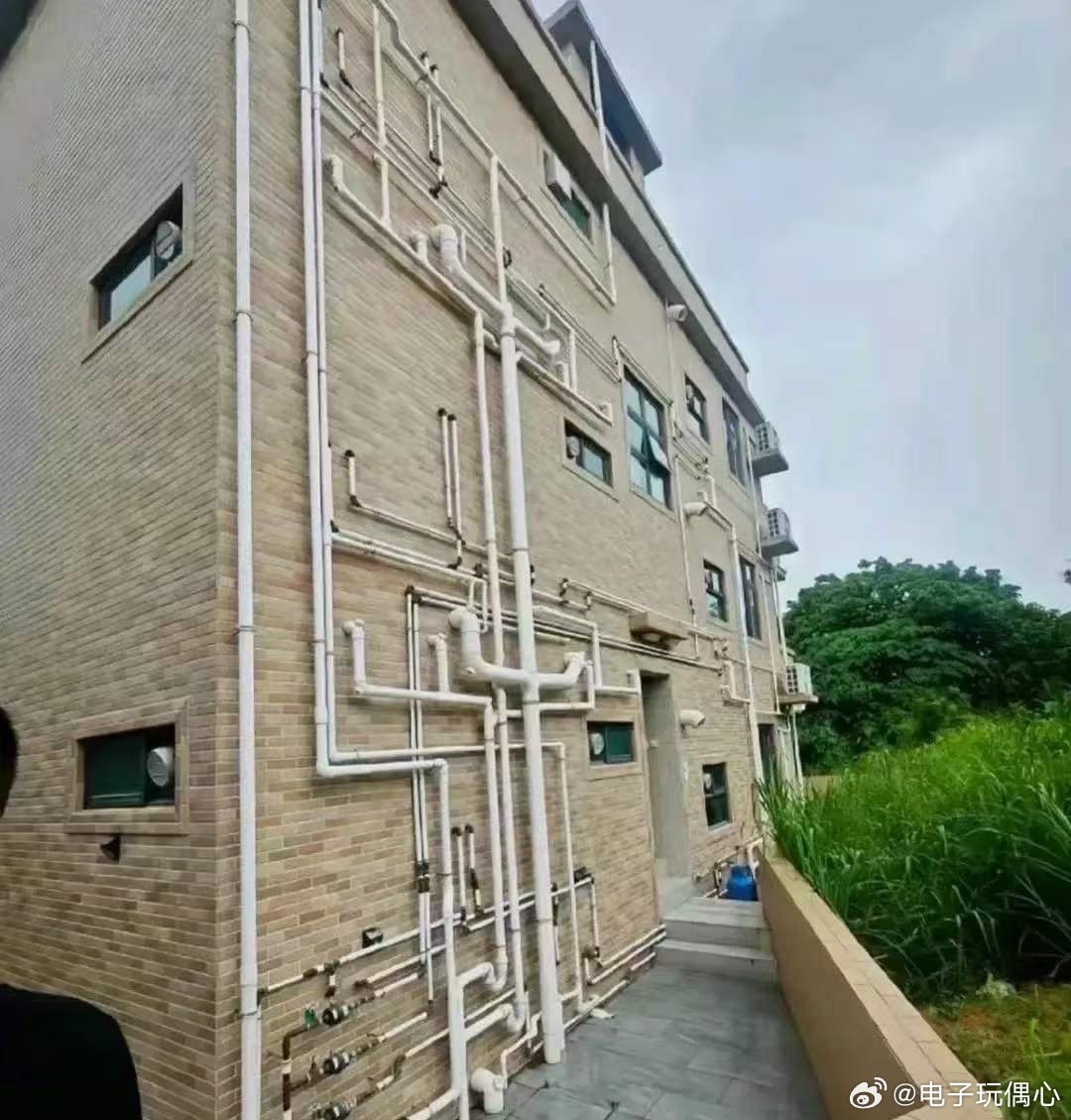 网友晒出香港楼房外墙上的一幕，不得不说，惊呆了啊！ 