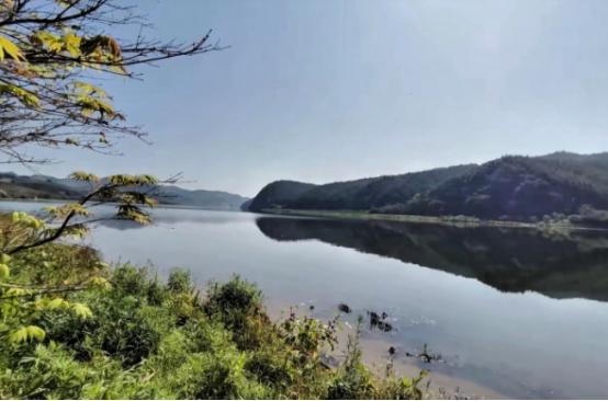 中国由于去日本航班取消，在日本旅游的人回不来。这个一点都不用可怜他们，上海不是有