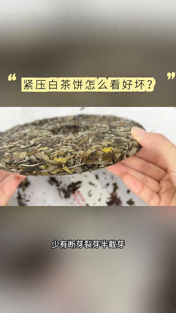 白茶饼如何看出好坏？差距藏在这2个细节里。
最近一直在跟老白茶打交道，这也并不稀