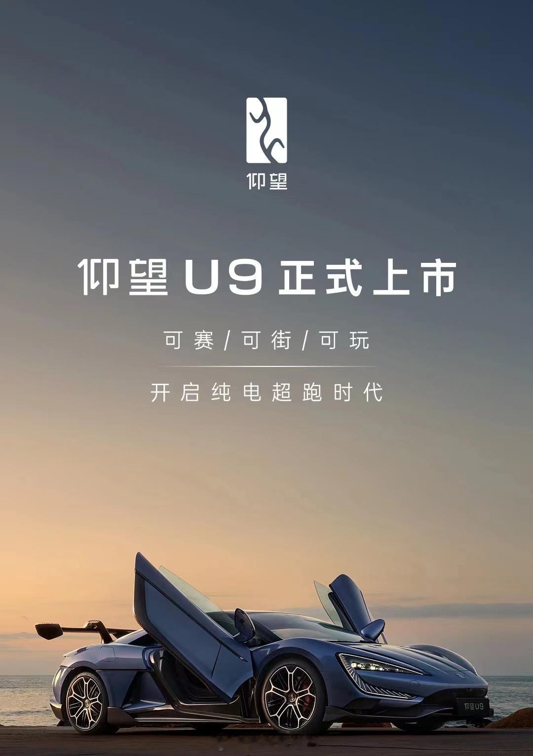 “以前的我你爱答不理，现在的我你高攀不起”仰望U9深度诠释[微笑]#仰望u9上市