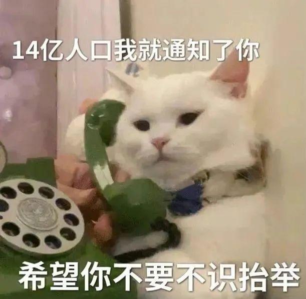 热门表情包动图：宝儿 俺要（温馨提示：分享到wx或者电脑版可以保存表情包）