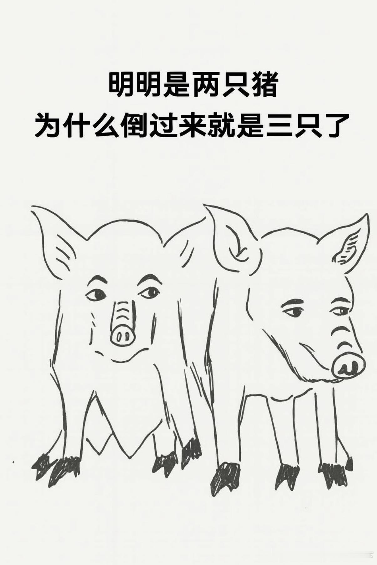 5276所以多少只猪？ ​​​