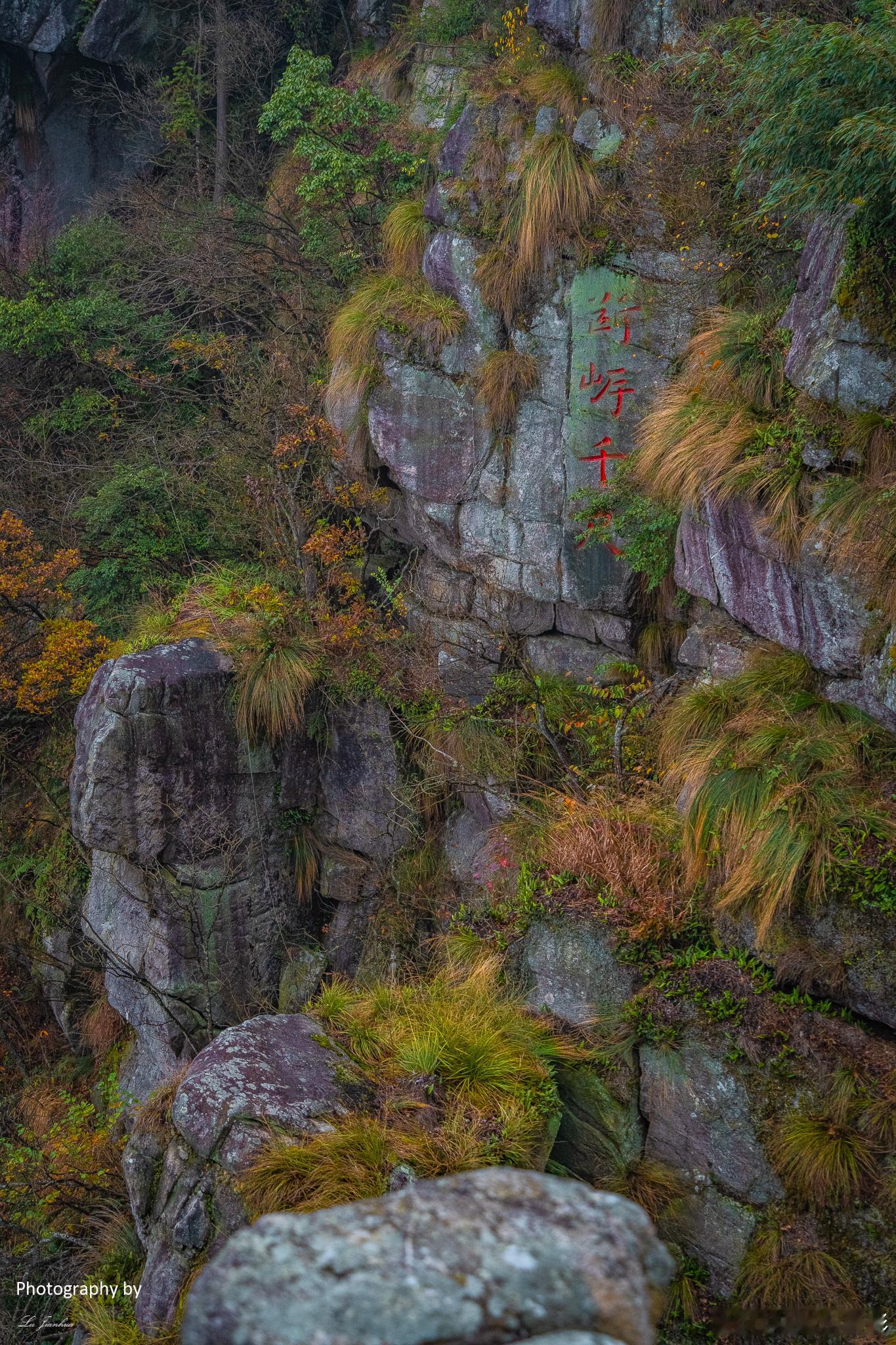 ✈️【庐山探秘记】🏔️这次，我们来到了神秘的庐山！这里的风景如画，让人流连忘返