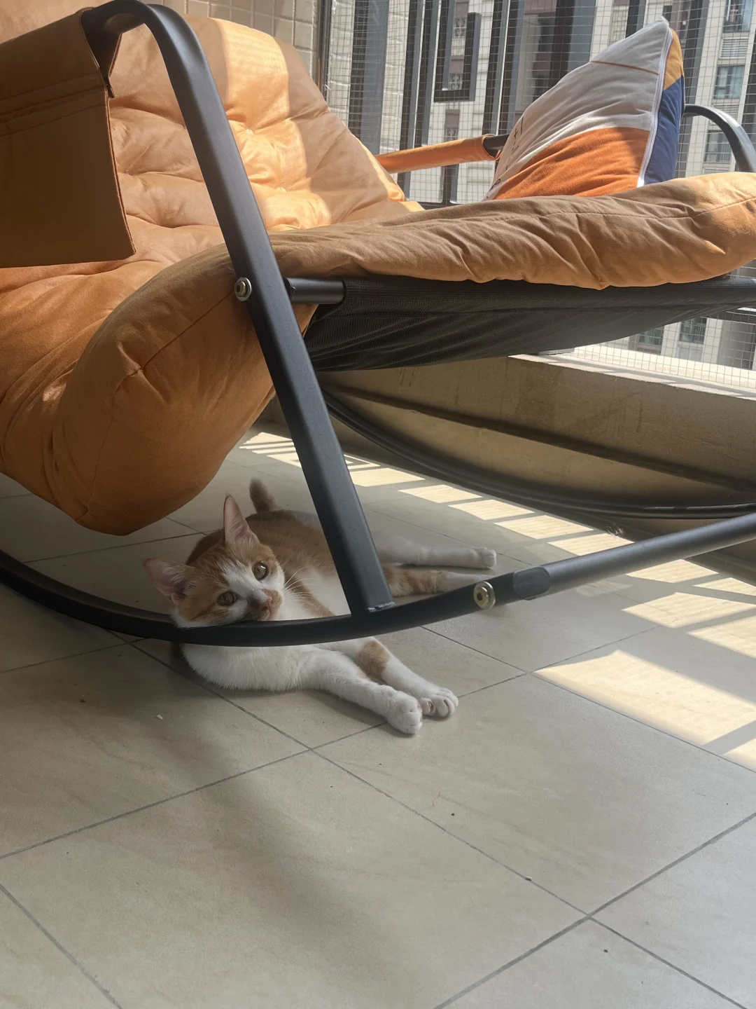 最近换床单比较勤，可能是我不喜欢尿味吧