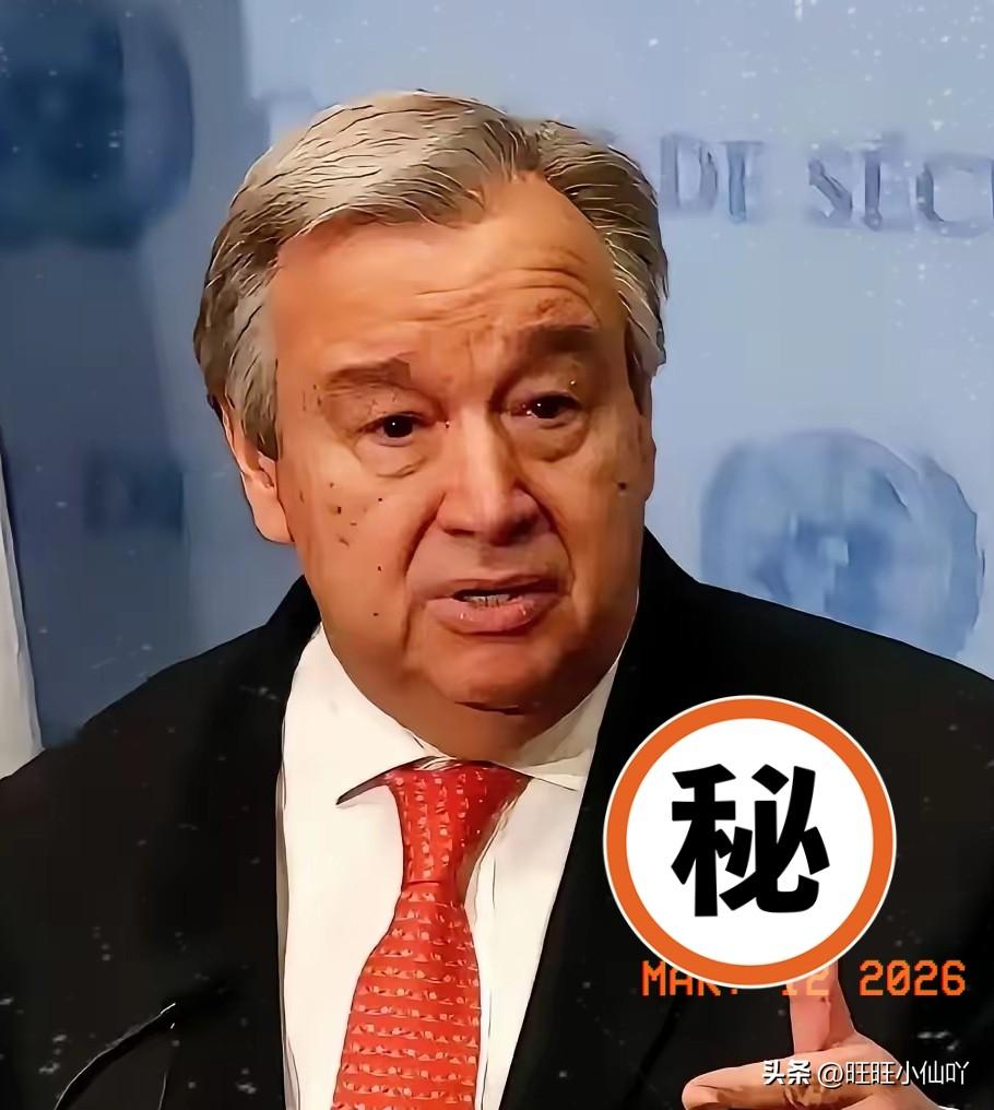 联合国最新消息，
 
北京时间3月12日凌晨，联合国安理会就俄罗斯提交的中东冲突