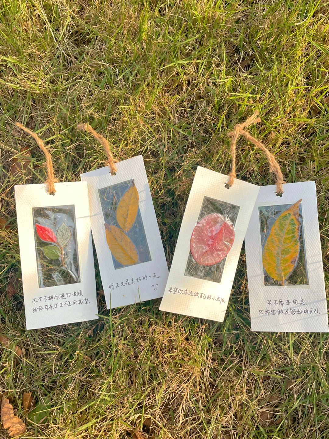 秋日美育｜用落叶自制透明书签～超简单附教程
