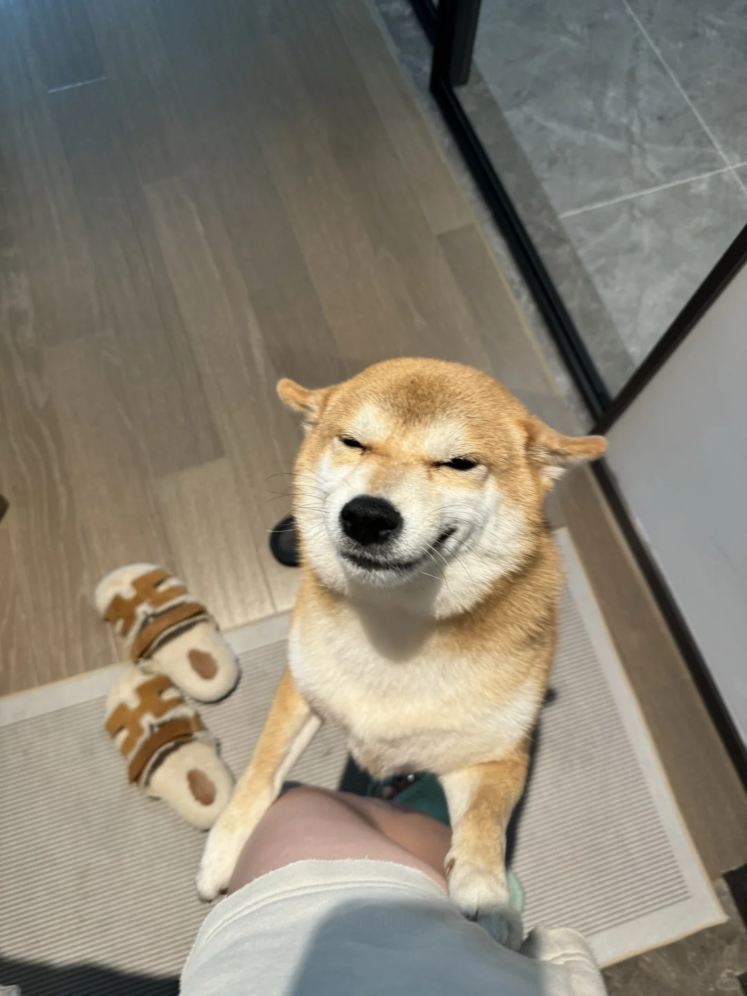 就喜欢柴柴的鬼迷日眼🥺