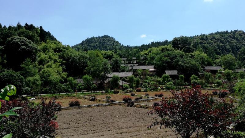 一位五十八岁的老教师说，五十岁以前，他特别向往城市那种繁华热闹的生活。但是过了五