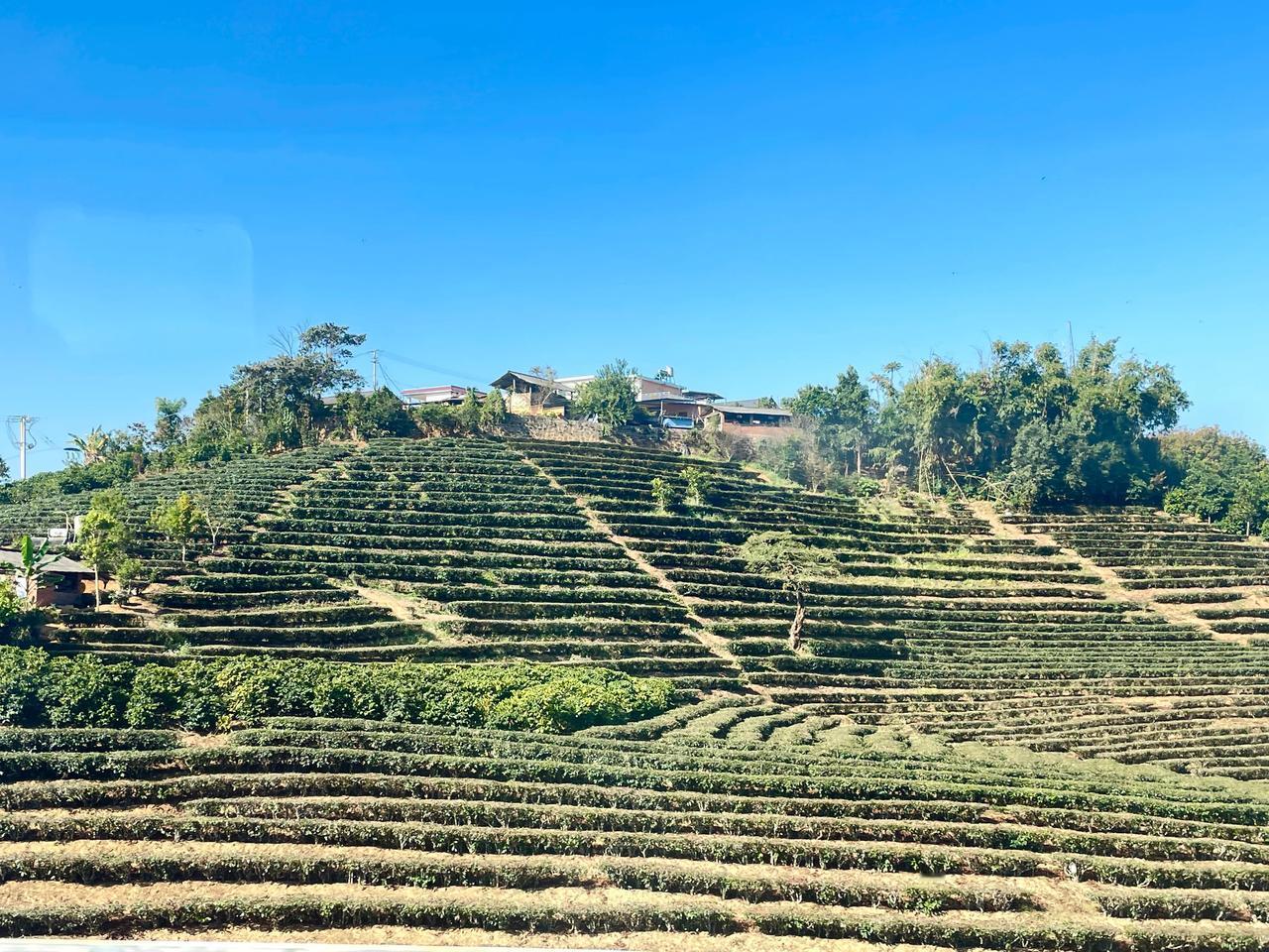 从昆明南站上车，途经玉溪、普洱、西双版纳、磨憨、磨丁、孟赛，于当地时间14：45