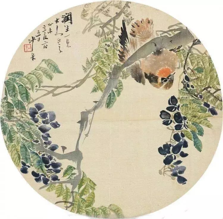 清 沙馥 扇面花鸟画欣赏。沙馥（1831-1906），字山春，江苏苏州人。出身绘