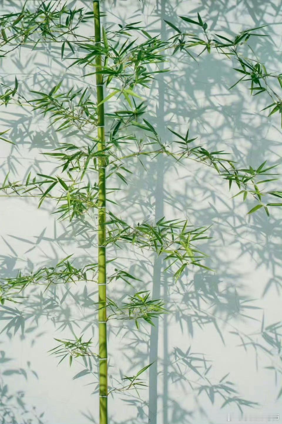 早成者未必有成，晚达者未必不达。不可以年少而自恃，不可以年老而自弃。——明·冯梦