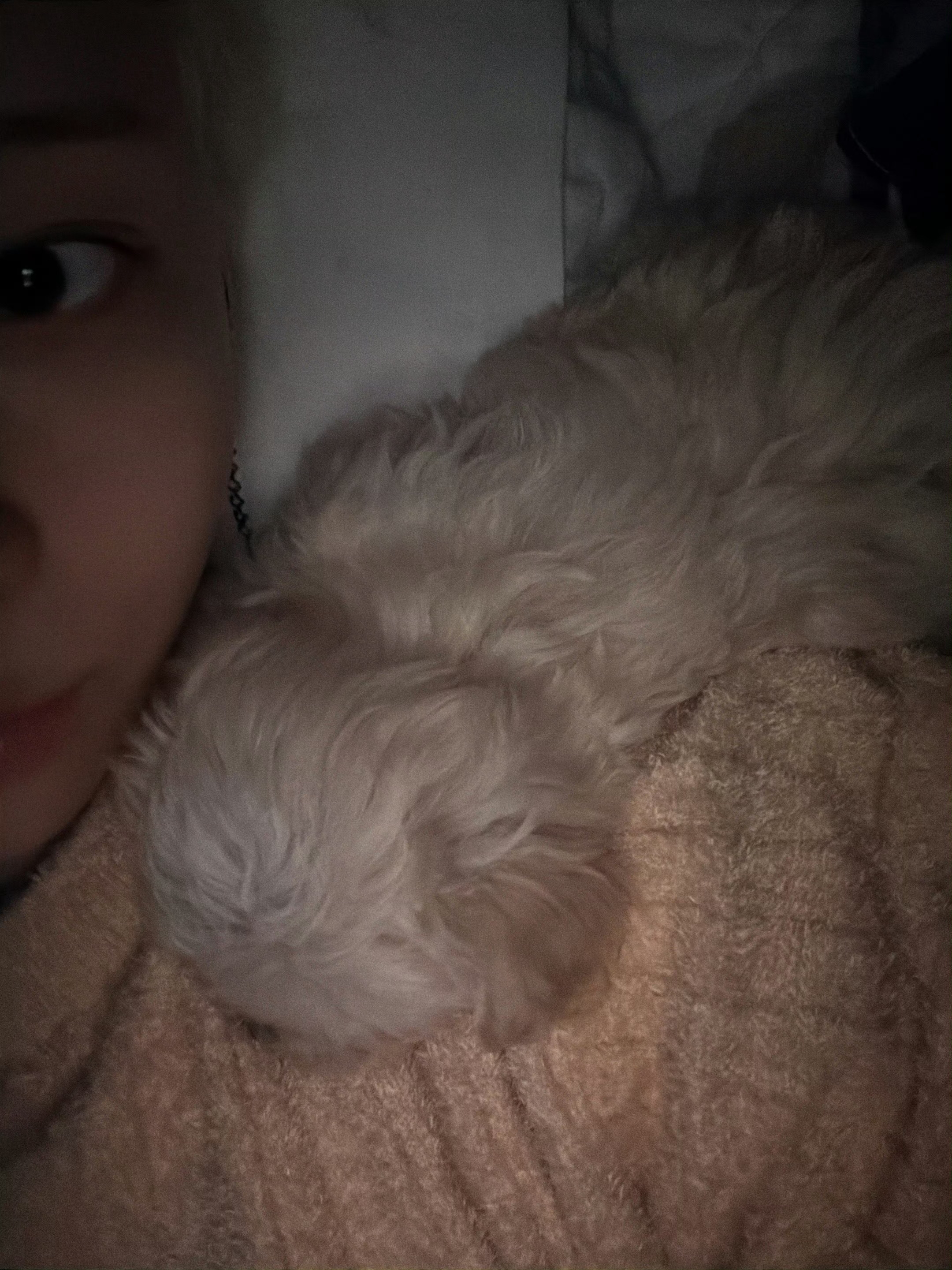 哎一古🥺波妞遇到了一位充满善良的天使姐姐 