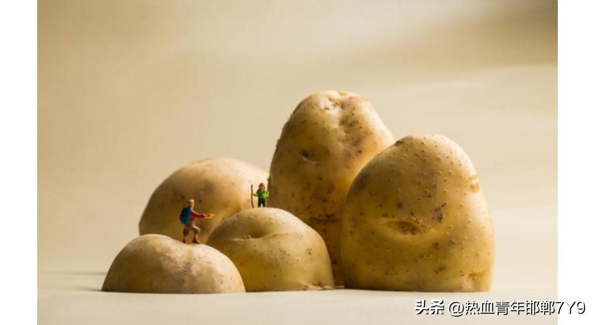 自古以来，我老家称呼外来的物种，汉代从西域引进的往往加一个“番”字或“胡”字，因