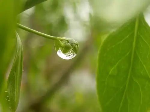[微风]颠覆认知的物理冷知识：万米高空坠落水滴速度可达443米每秒堪比子弹，为何