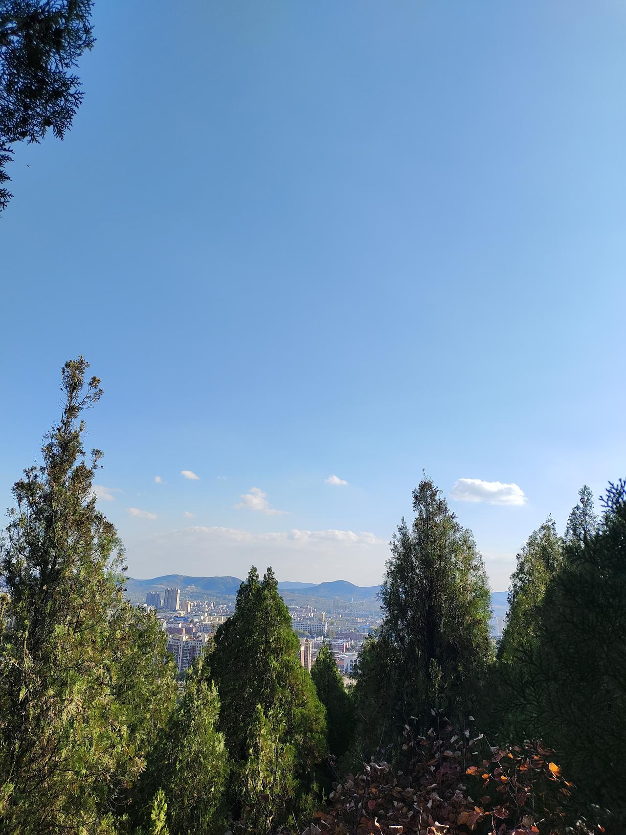 站在高处极目远眺，视野豁然开朗。头顶是澄澈如洗的蓝天，几缕白云悠然飘过，仿佛是大