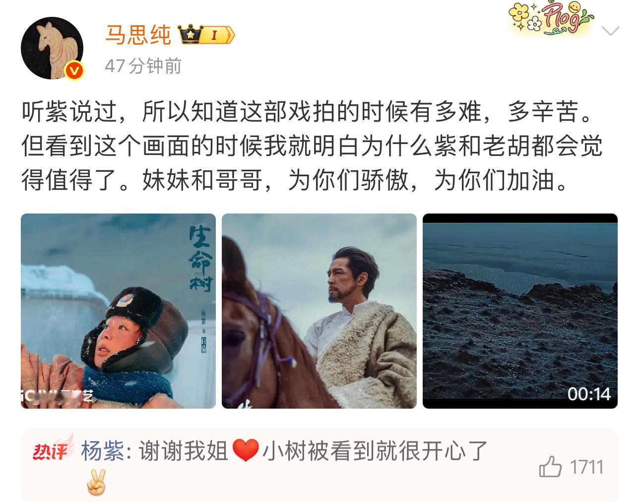 ：“听紫说过，所以知道这部戏拍的时候有多难，多辛苦。”：“谢谢我姐，小树被看到就