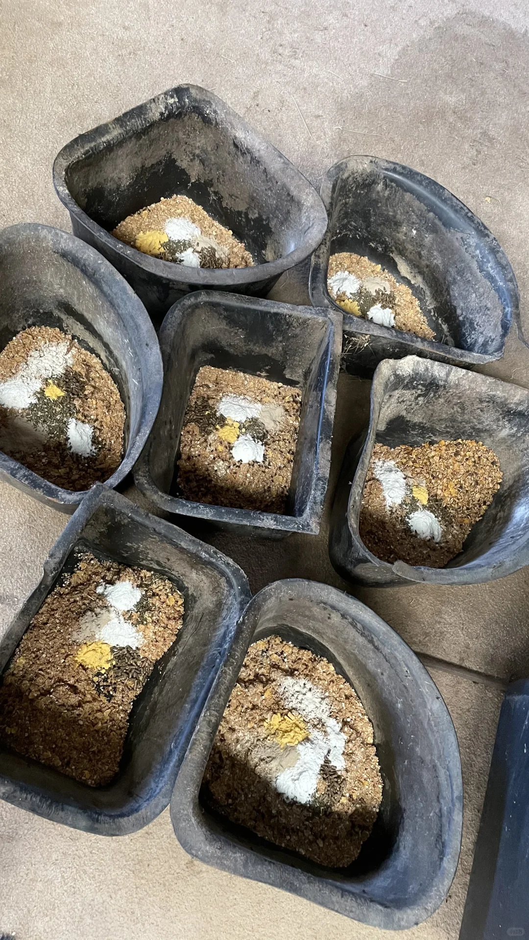 料盆放一起摆盘撒粉好过瘾啊