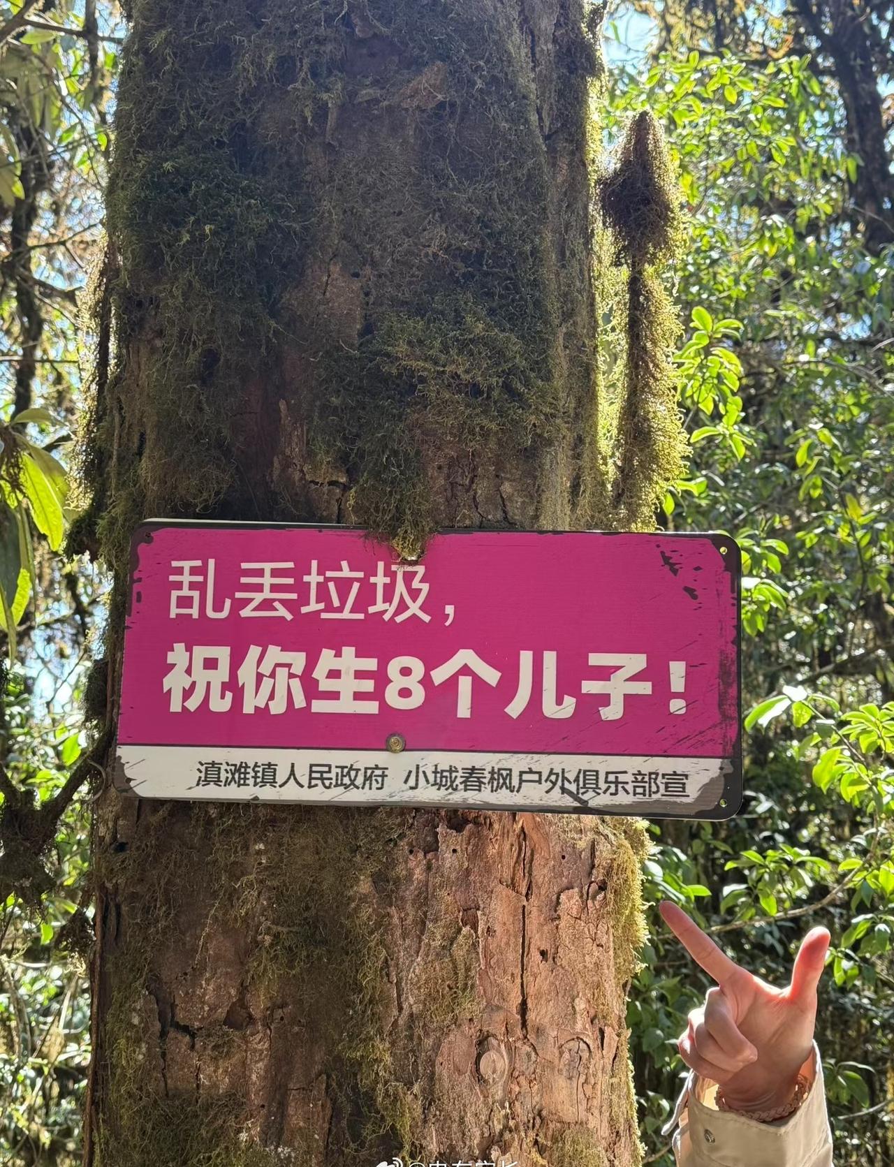 那些比“爱护花草人人有责”更管用的标语[笑哭] ​​​