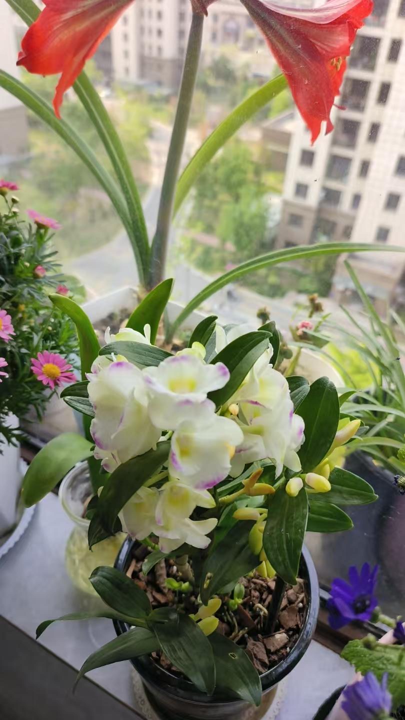 得了艾滋病估计没救了，平时不洁身自好此时又能怪谁呢？