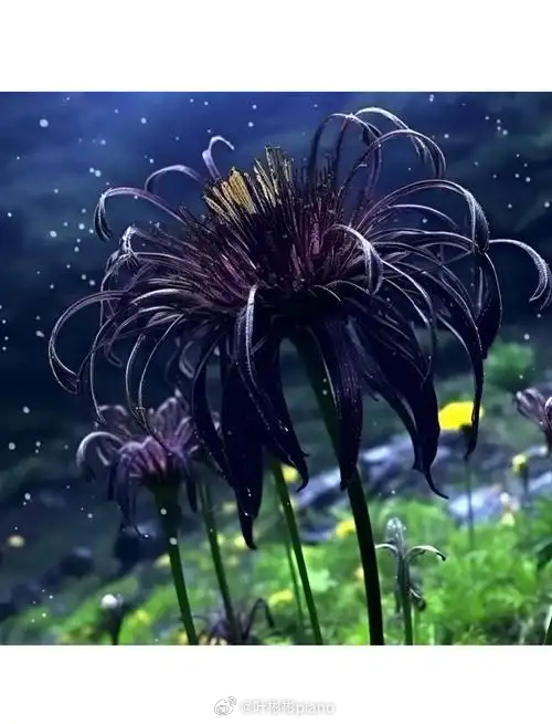 人生是条河，深浅都要过，有时是浅水区，相对容易应对；有时是深水区，充满困难和挑战