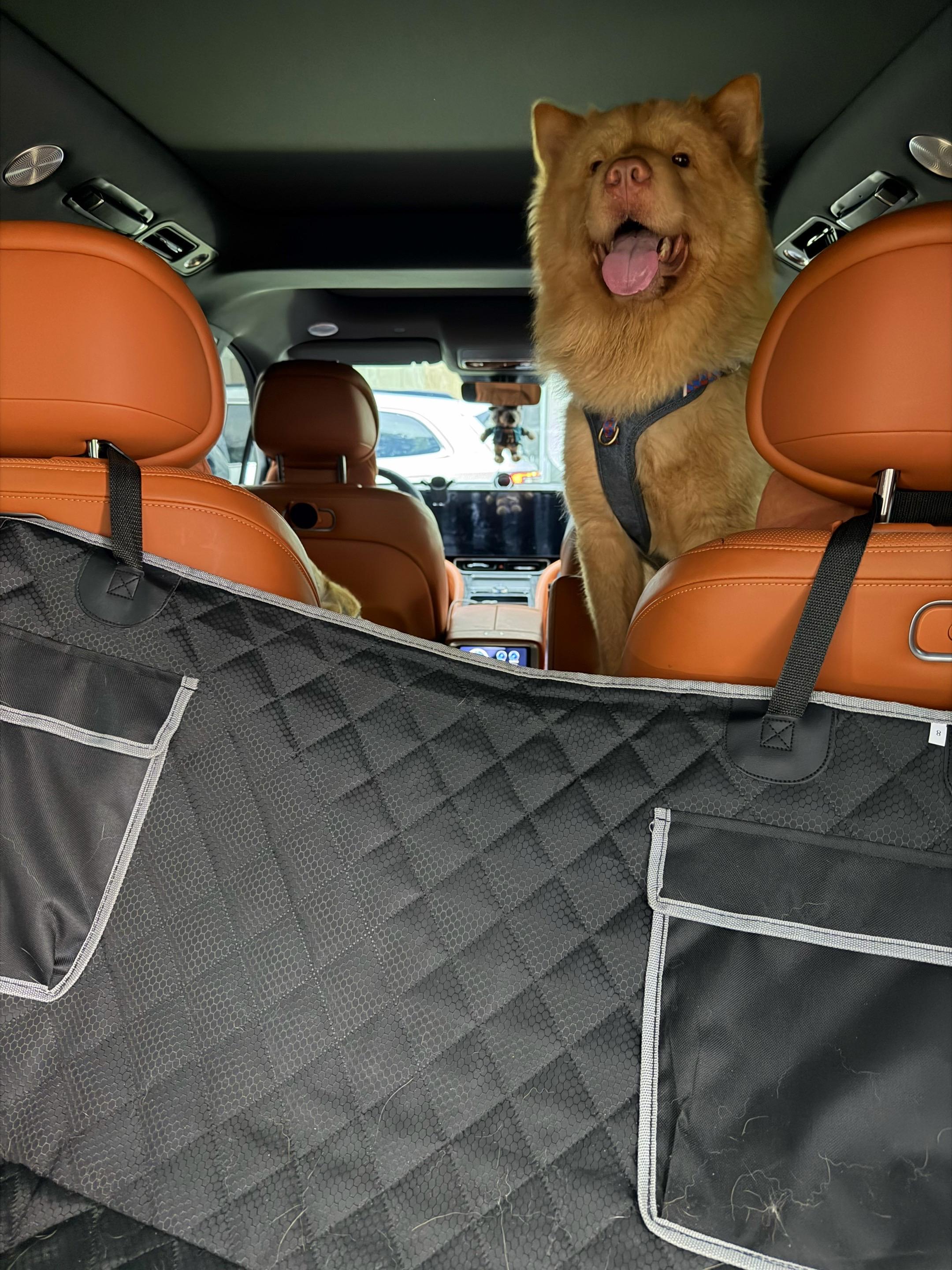 太太太太可爱啦！