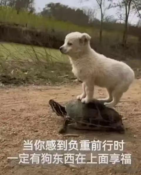 我觉得挺有道理！[doge] ​​​