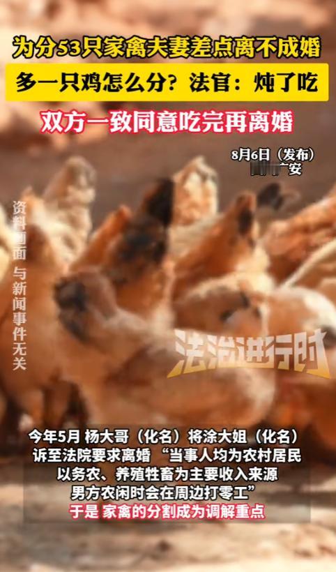 “笑不活了！”2025年，四川，一男子要与老婆离婚，却因53只家禽无法平均分，差