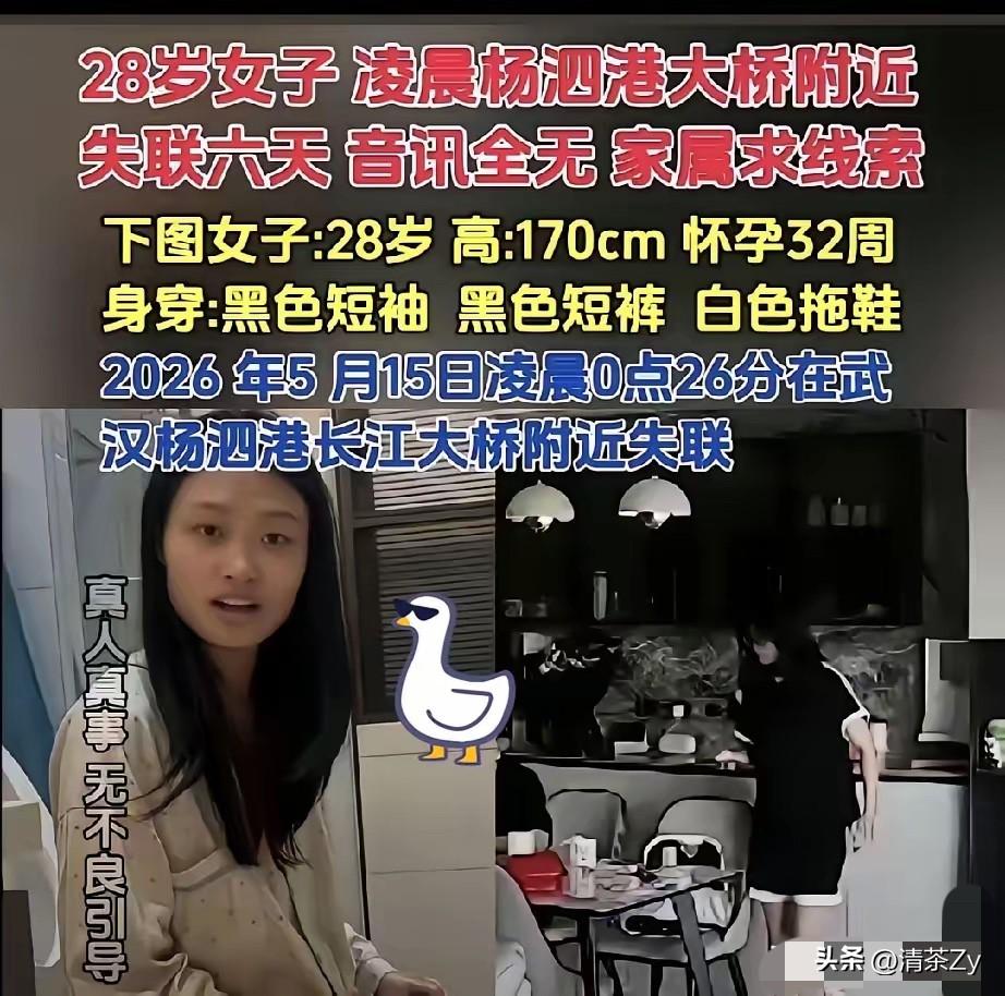 5月15日凌晨12点多，湖北武汉有位才28岁的准妈妈一个人去了杨泗港大桥的江边！