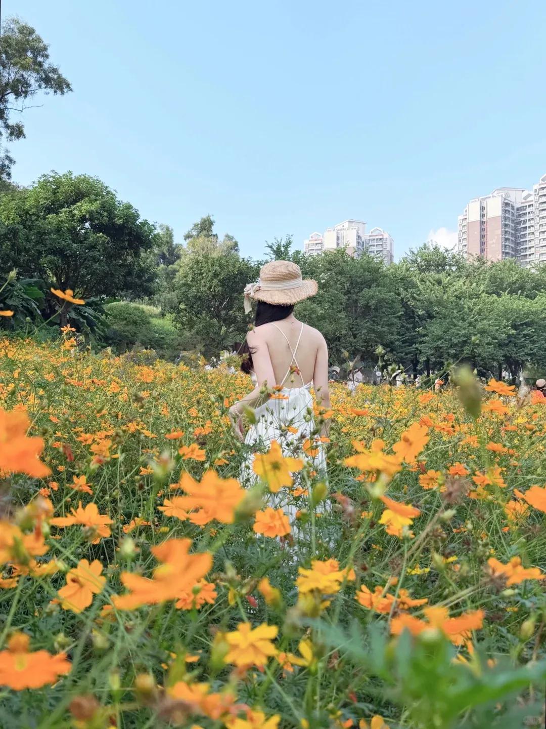 就这背，不能亲自拔罐，真是太可惜了