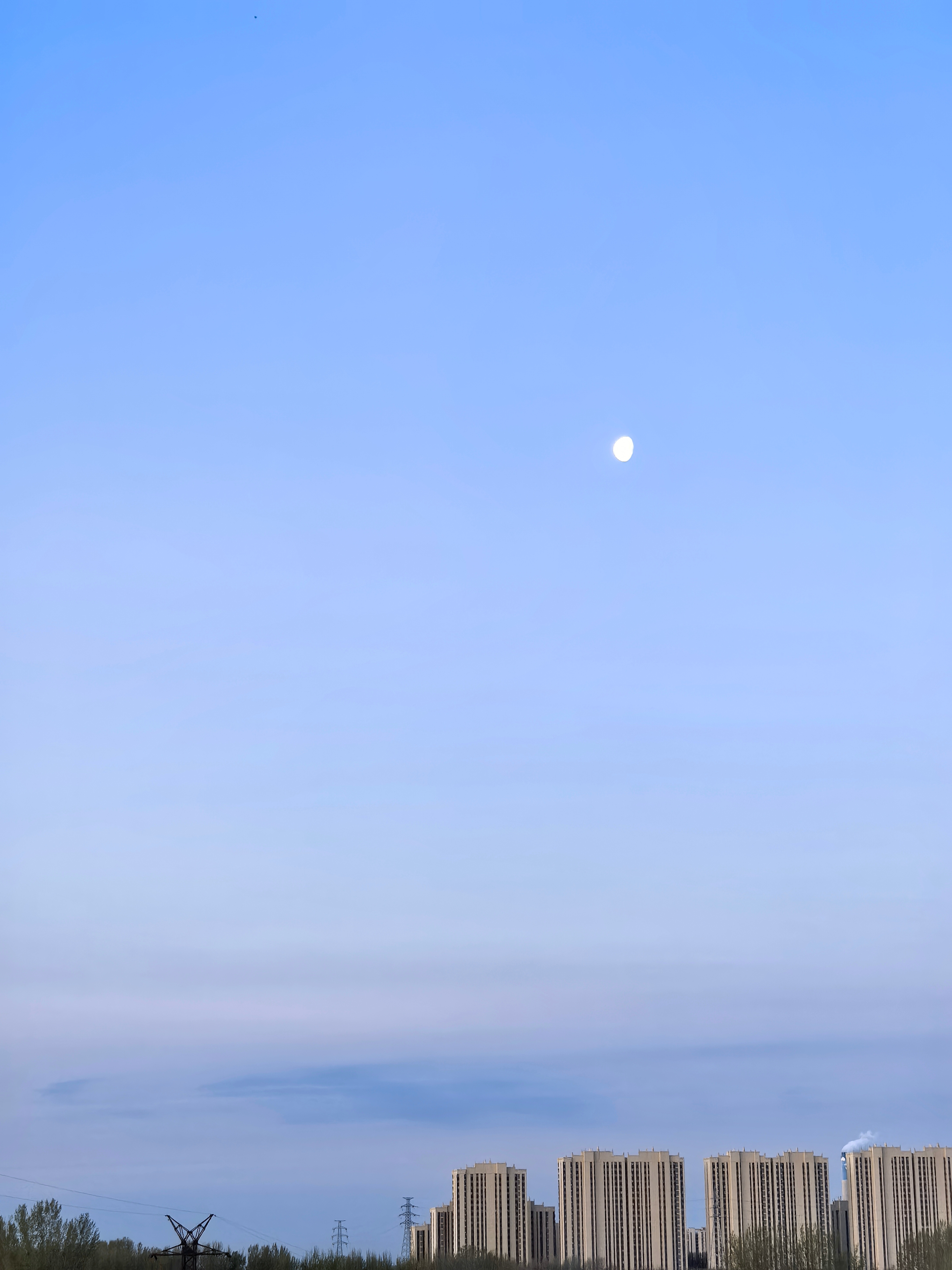 早安～3天小假期结束，又到了每天早起的时候了，昨天蒸的大花卷今天早上裹上鸡蛋液煎