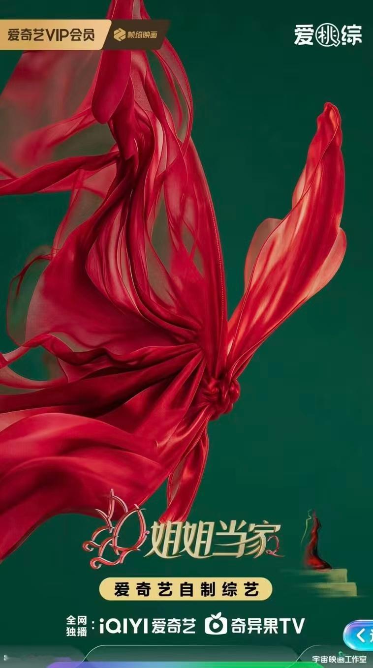 徐梦桃巴黎夺冠后第一个综艺徐梦桃王心迪夺冠后综艺首秀2026爱奇艺世界大会 《姐