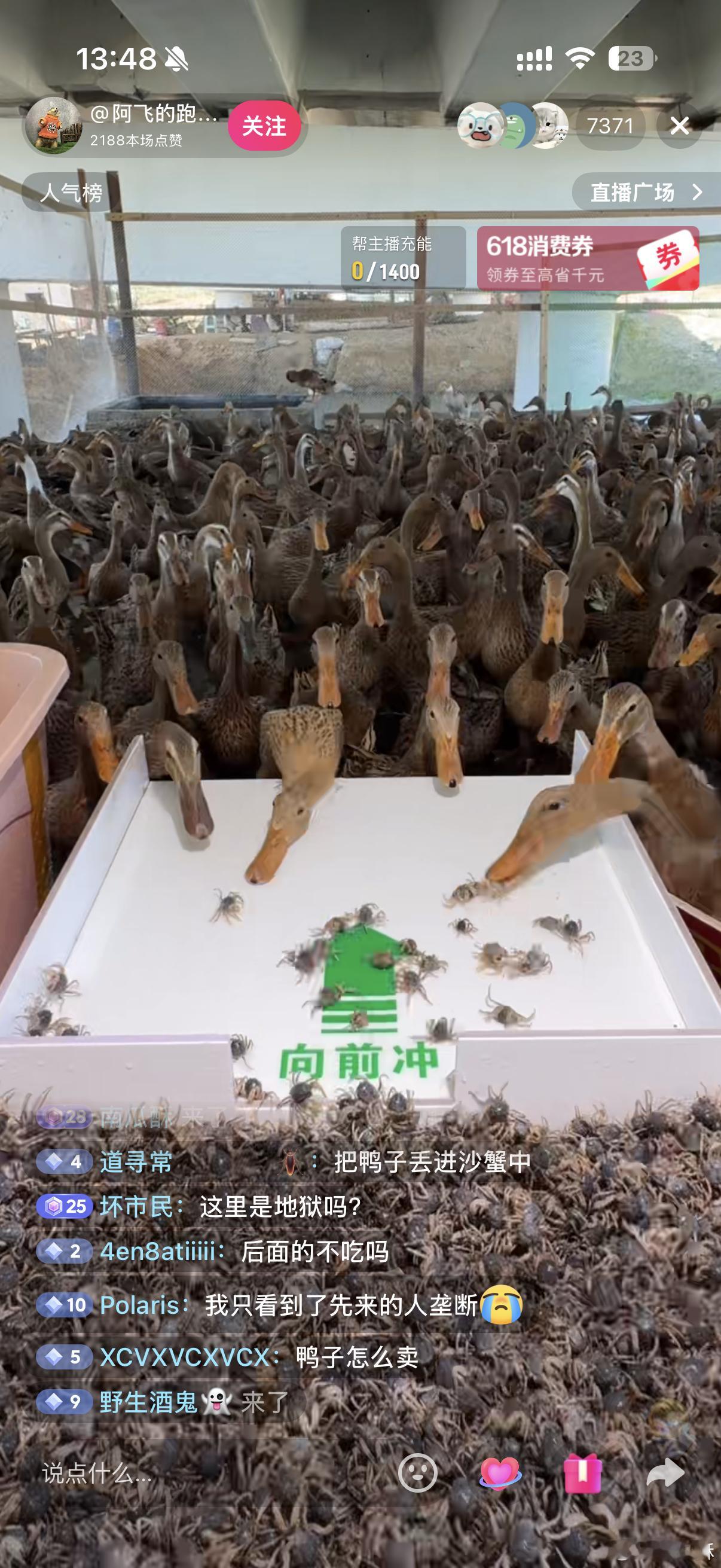 飞升是骗局