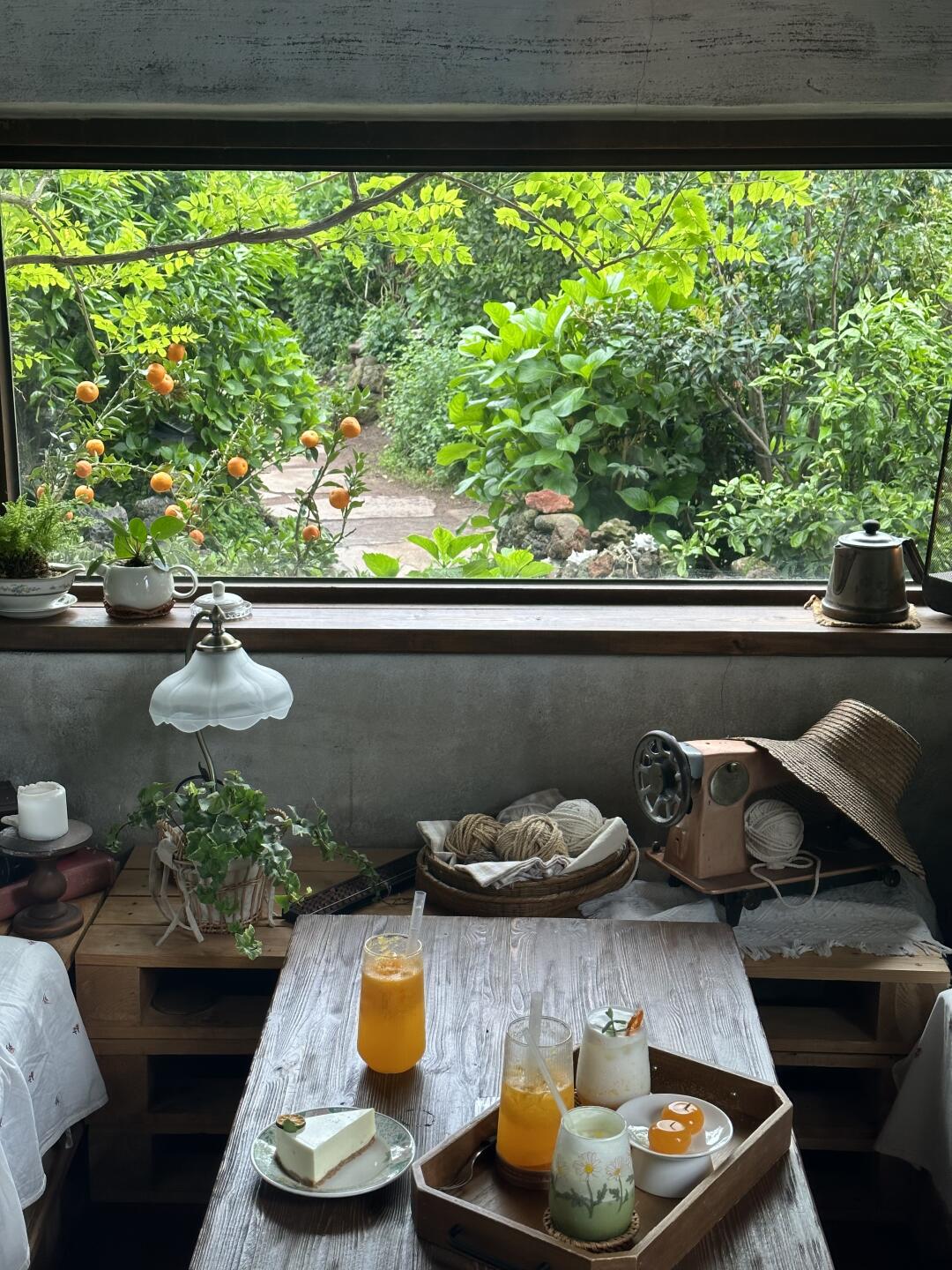 济州岛🇰🇷西归浦橘子咖啡店🍊