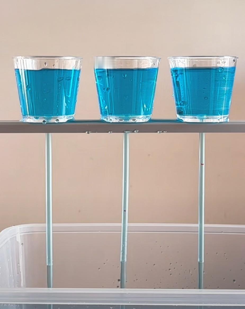 谁能说出这是什么原理？给大家解释一下。
我们同时做三个相同的杯子，底部插上相同长