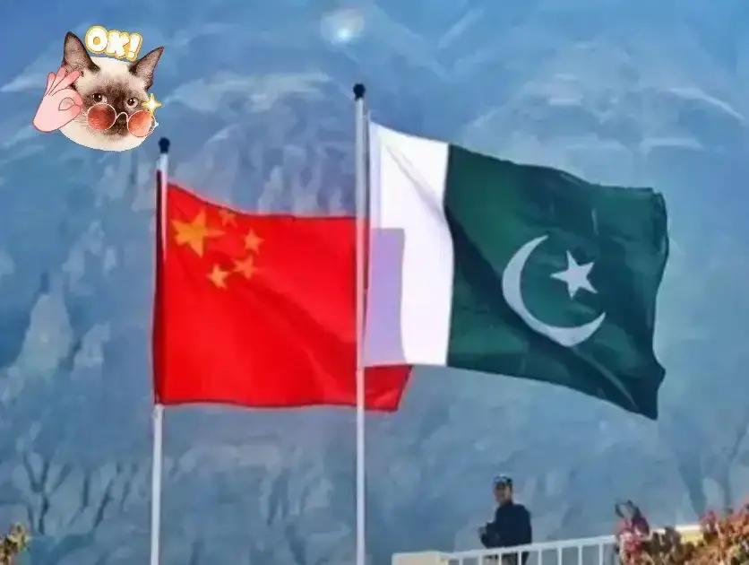 出手了！巴基斯坦表态！
 
别急着把“不发声”扣成“白眼狼”。这波中日气氛紧的时