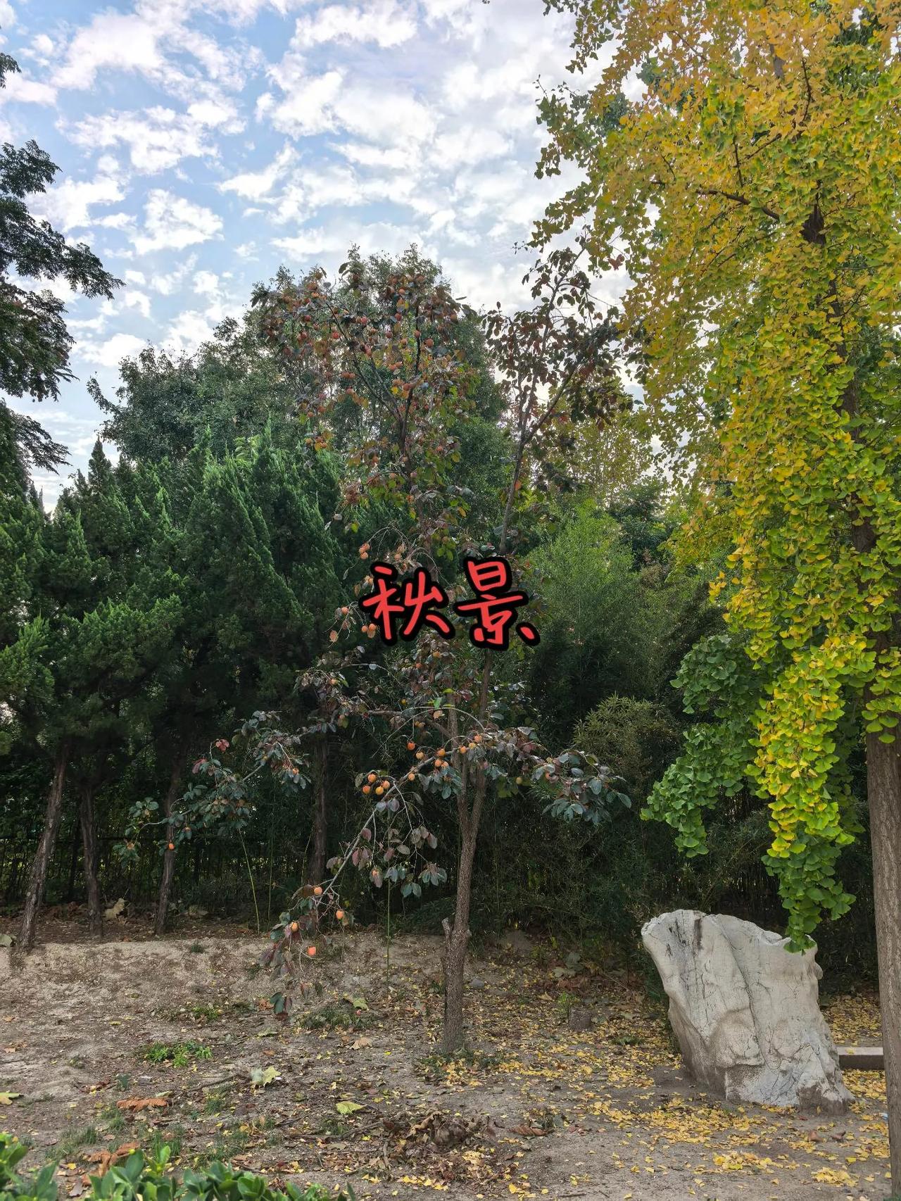 秋景
