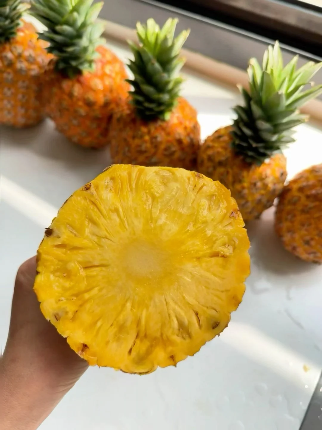 赛博种草成功！这凤梨闭眼冲不亏！