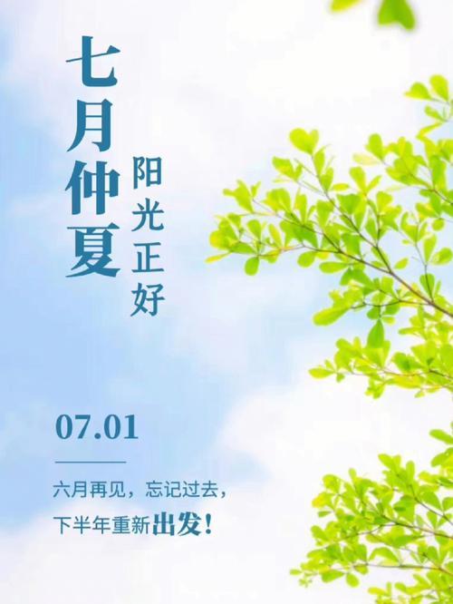 六月再见，七月你好，夏日皆安。
挥别六月，奔赴七月，万事可期。
早安寄语打卡 
