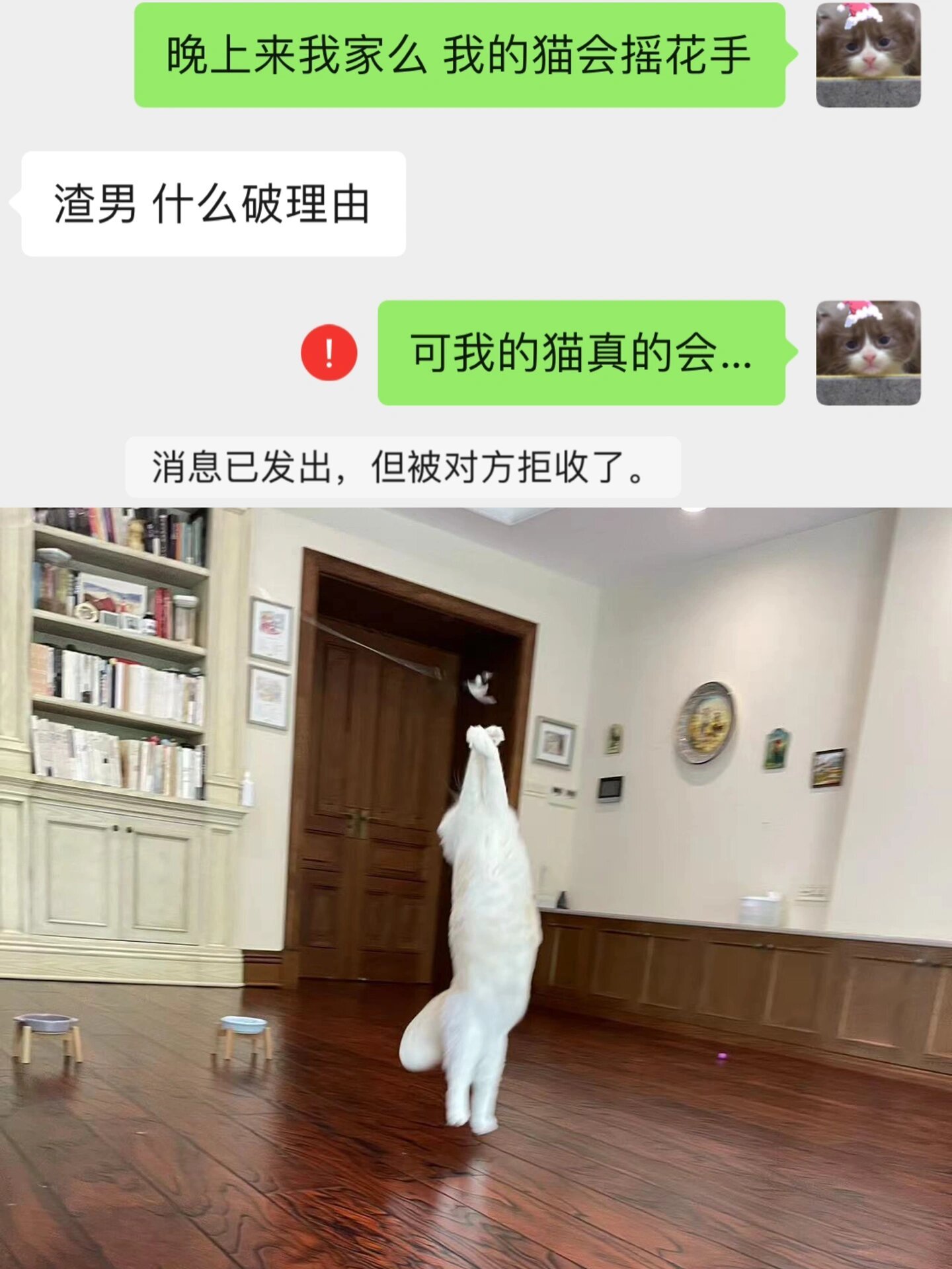 可是…她真的会 ​​​