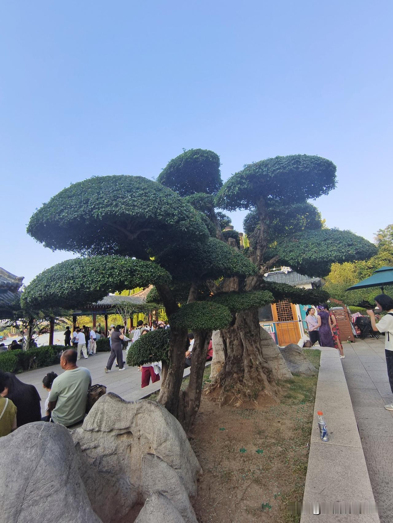 如果方向没错
坚持当然是对
若方法不正确
努力也是白费
方向方法正确
成功几率多