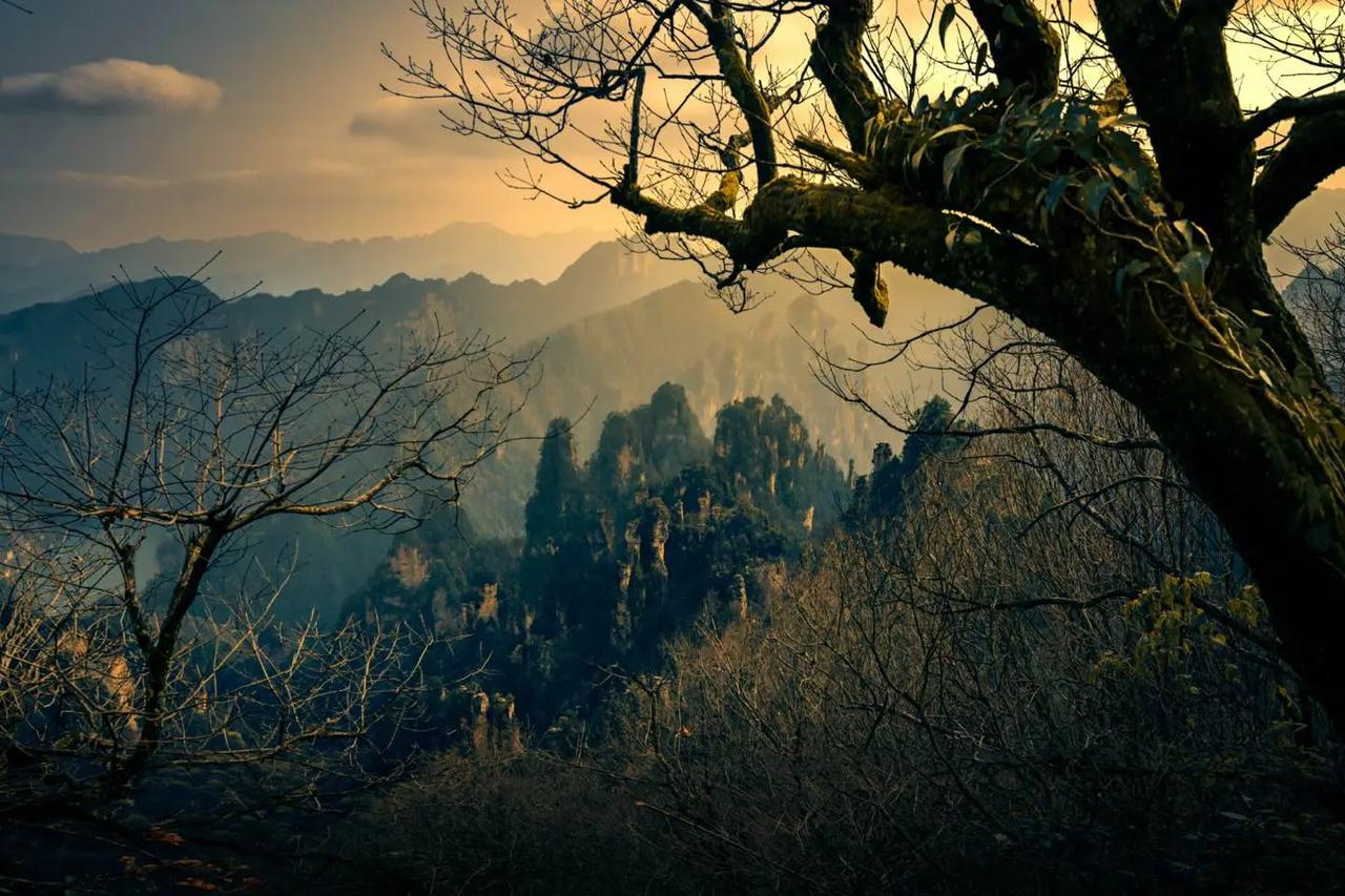 从美国的视角来看，这场战争也无法结束。倘若美国轻易在这场战争中认输，便难以再在中