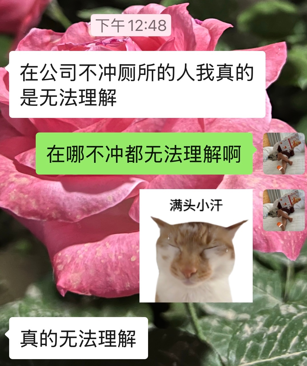 我真的请问了，在哪能被理解？ 