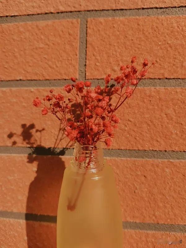 别人躺平时，你悄悄铺路；
别人跟风时，你默默深耕。

别急，
命运偏爱“笨功夫”