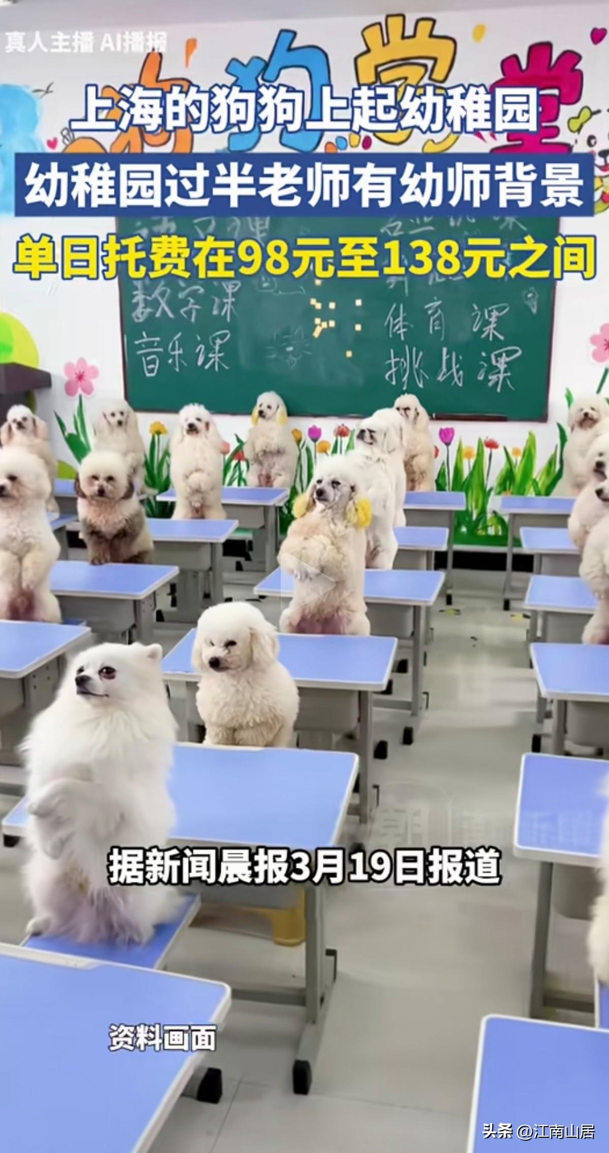 据报道，上海的宠物狗狗，都开始上起“幼儿园”了。该幼稚园，近半的工作人员，有幼师