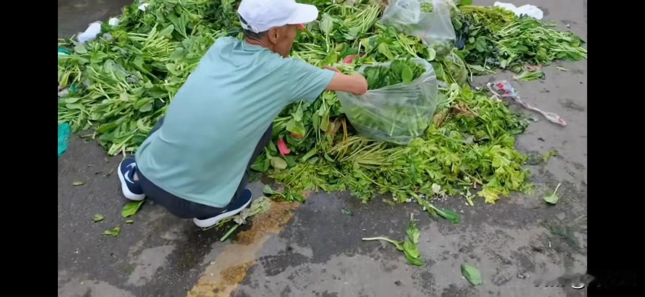 去菜市场捡菜吃，不用花钱买菜了，你们身边有这样的人吗？

今天刷到一个视频，博主