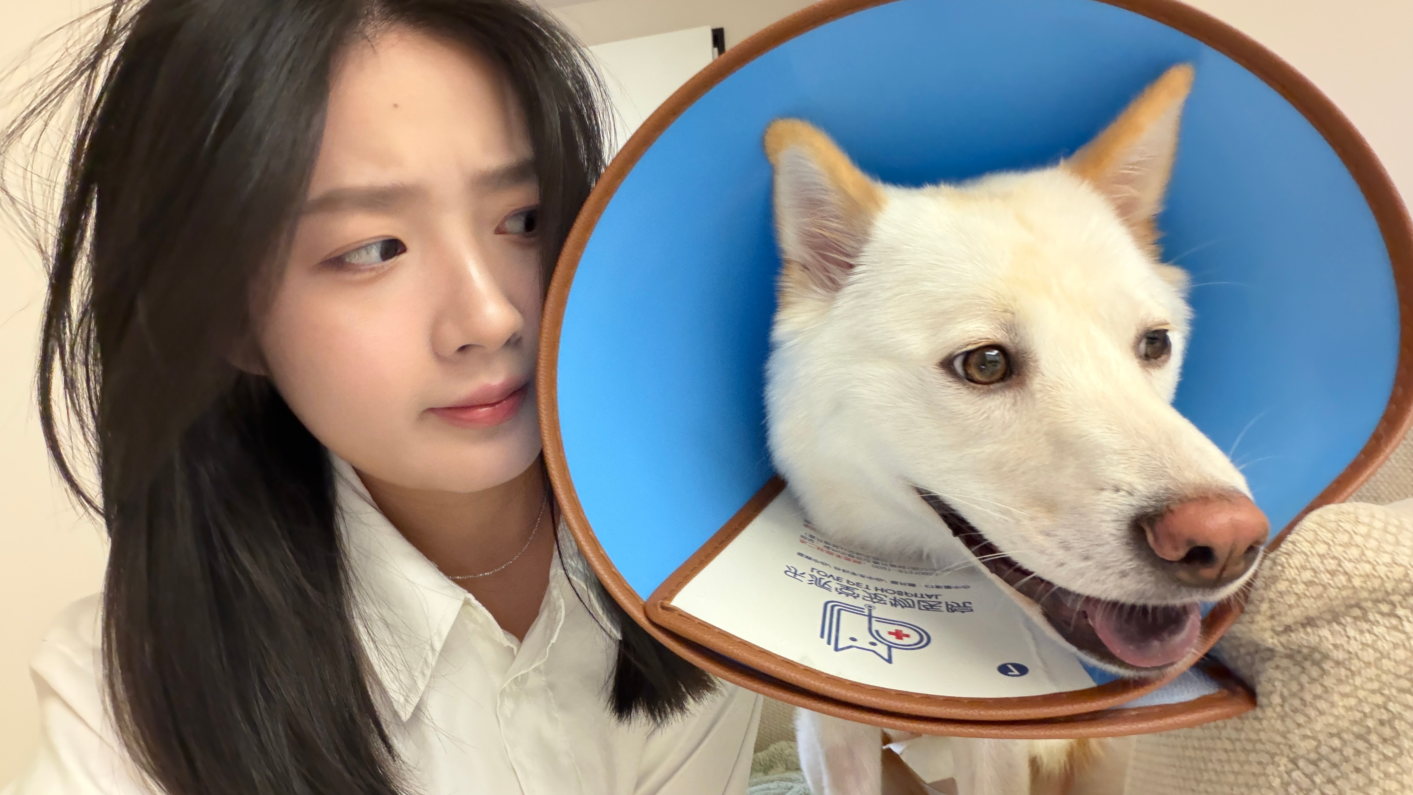 担如心。。今天都不怎么能走路了 吃饭上厕所都要人抱着去一直要人摸摸 不摸就嘤嘤叫
