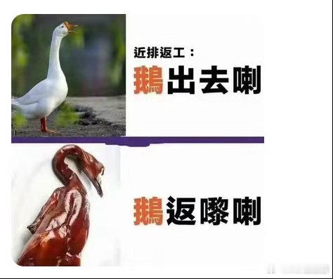 广东不愧是祖宗严选发配地人均烤鹅&烧鸡不想说话，究竟是能出去还是不能出去，每天都